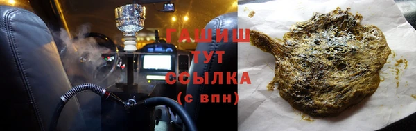 сатива Бородино