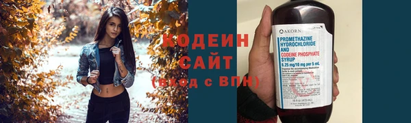 сатива Бородино
