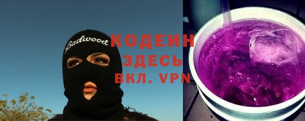 сатива Бородино