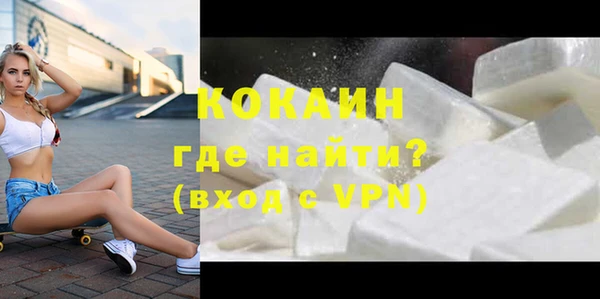 сатива Бородино