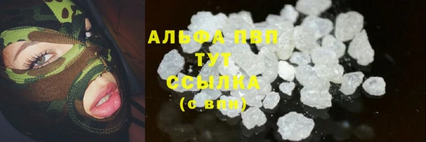 сатива Бронницы