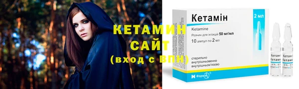 сатива Бородино