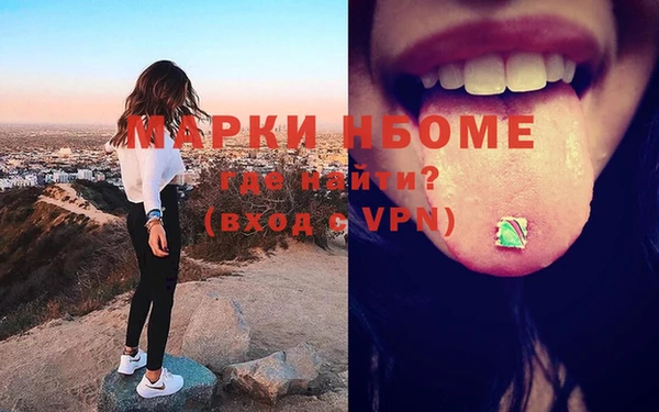 сатива Бородино