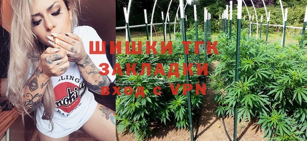 сатива Бронницы