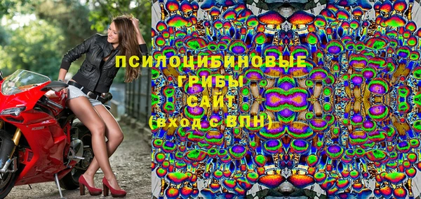 ГАЛЛЮЦИНОГЕННЫЕ ГРИБЫ Бугульма