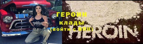 сатива Бородино