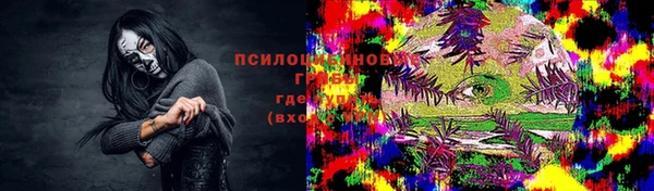 ГАЛЛЮЦИНОГЕННЫЕ ГРИБЫ Бугульма