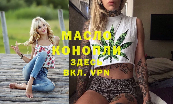 сатива Бородино