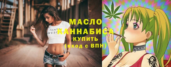 сатива Бородино