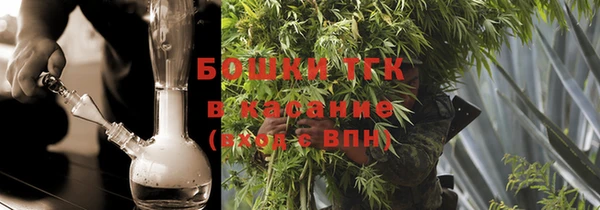сатива Бородино