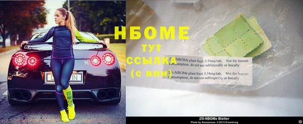 сатива Бронницы