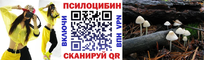 Псилоцибиновые грибы Psilocybine cubensis  закладки  Жуковский 